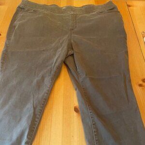 Lane Bryant Pull-On Fit High-Rise Jegging, Brown, 24 Petite